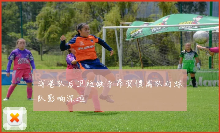 海港队后卫短缺李昂贺惯离队对球队影响深远